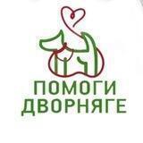Dogheplkazan “Помоги Дворняге»