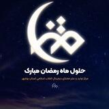 متنا بوشهر