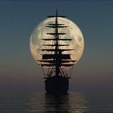 Pirate's Life