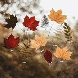 🍁🍂خريف العمر🍂🍁