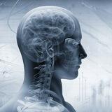 Human | Science