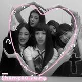 shampoo fairy : open!