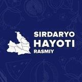 Sirdaryo hayoti | Rasmiy kanal