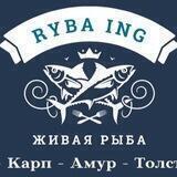 Рыба Инг