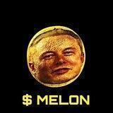 Missing Elon Entry Portal