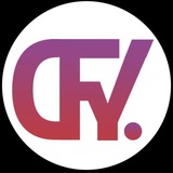 Dfy.money