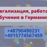 Kastanie Job агенство