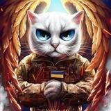 Комфорт Таун ЖК 💙💛 Котики КТ. Comfort Town. ✙