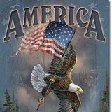 Real Patriot Network A & LT
