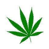 GrowGuide Channel