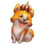 🌎 KingCorgi Chain | Global Community