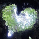 nature.rampage