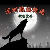 深圳狼友精选之家