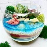 Флорариумы Курск Курчатов
