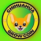 CHIHUAHUA GROW COIN COMMUNITY