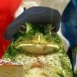 карманный француз