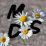 Mach's Dir. Selbst. - Austauschgruppe