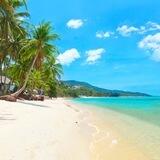 Мой Самуи 🏝🇹🇭 Взаимопомощь