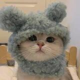 Hi