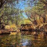 زندگی رویایی