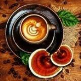 محصولات سلامت محور و ارگانیک