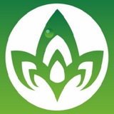 ЭКО-эксперт | экологические услуги