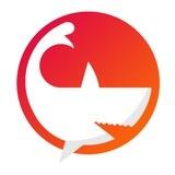 NFTFeed Channel