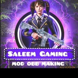 SALEEM GAMING🇵🇰🇮🇳🇧🇩