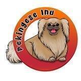 Pekingese Inu Portal