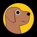 DexHound Updates