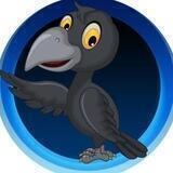 CrowBird Coin portal