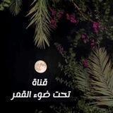 ✨تحت ضوء القمر✨ 🌕