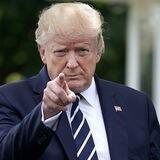 Trump's Voice