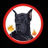 Newpoliton Dog_BSC(Launch 10th of Nov. 15UTC）
