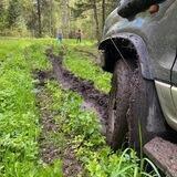 Ну, поехали