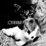 ᴏᴦнᴇнный ᴋᴀйɸ|ᴨᴩᴀʙиᴧᴀ/ᴀнᴋᴇᴛы.