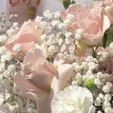 ࣪flower