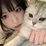 клуб вязания котят
