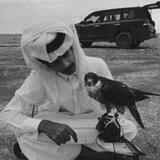 الققرم☇ .