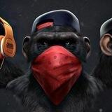 MACACO SEGUIDORES #1