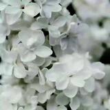 ╚»ℂℍ「❀𝐸𝑇𝑅𝐸❀」