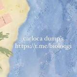 testie carloca dump