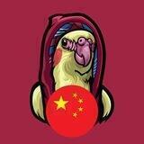 Bird Bro中文社区 🇨🇳