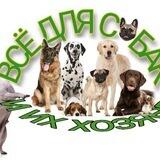 Пошив одежды для собак 🐶 | Одежда для собак