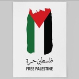 ‹ بِـ توقيت إلقاهره 🇪🇬↺.