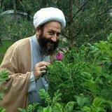 خار توستر