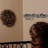 حَیـاَتيِ ڪلـهـْا للَّــه!ِ🤎