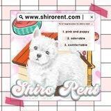 Shiro rent || HIRTAL
