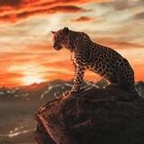 دەیـــــنــــاســـــور کـــراکـــەر🐉🔥