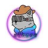 QQDOGE Inu | OFFICIAL